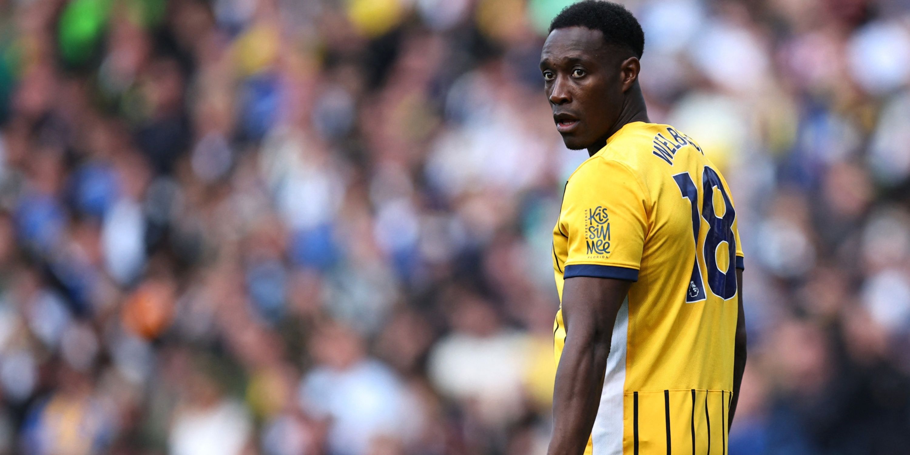 danny-welbeck-brighton