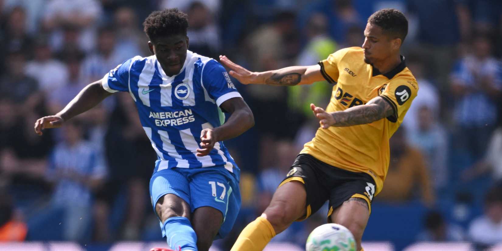 carlos-baleba-brighton