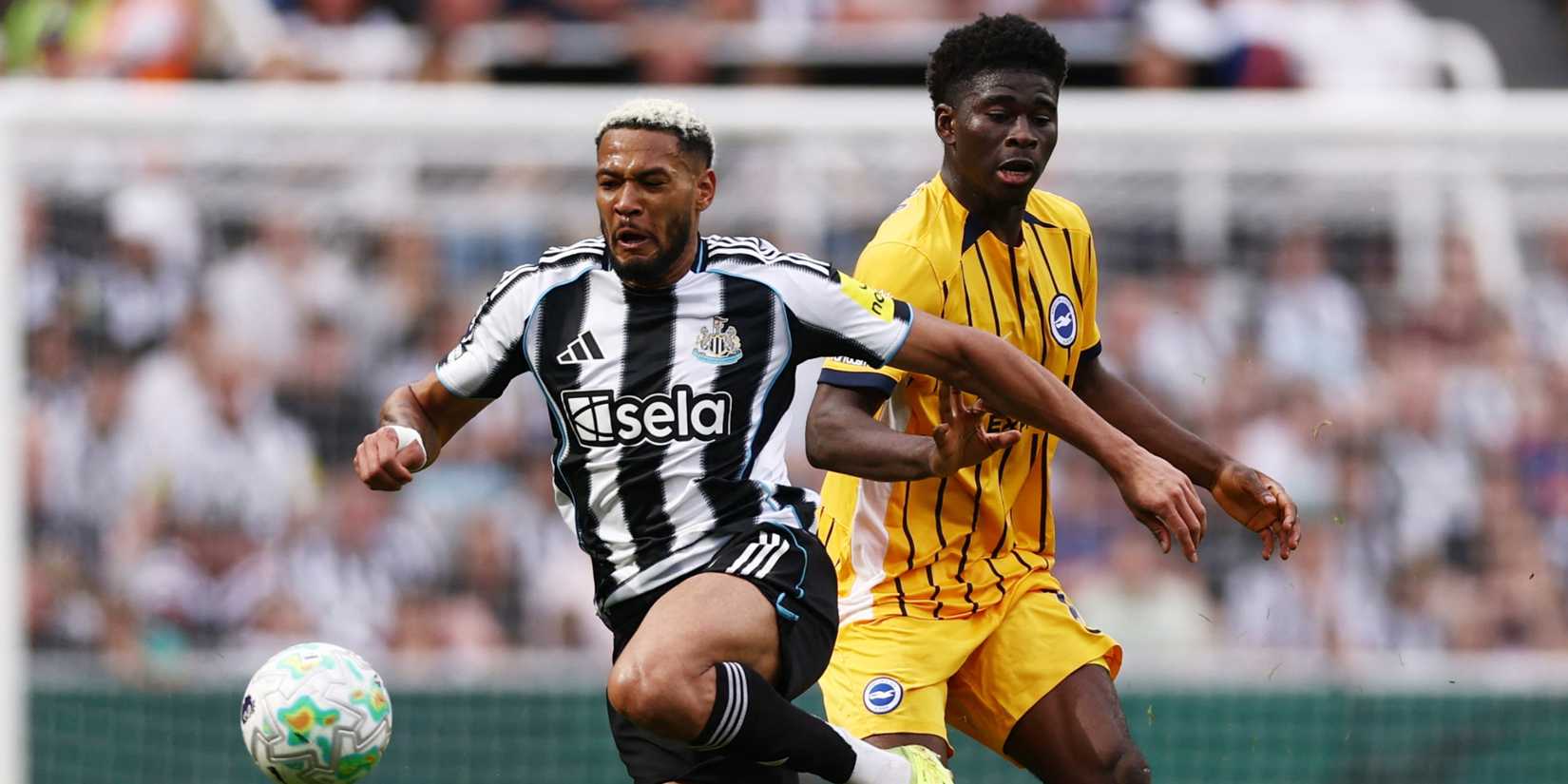Carlos-Balaba-Brighton