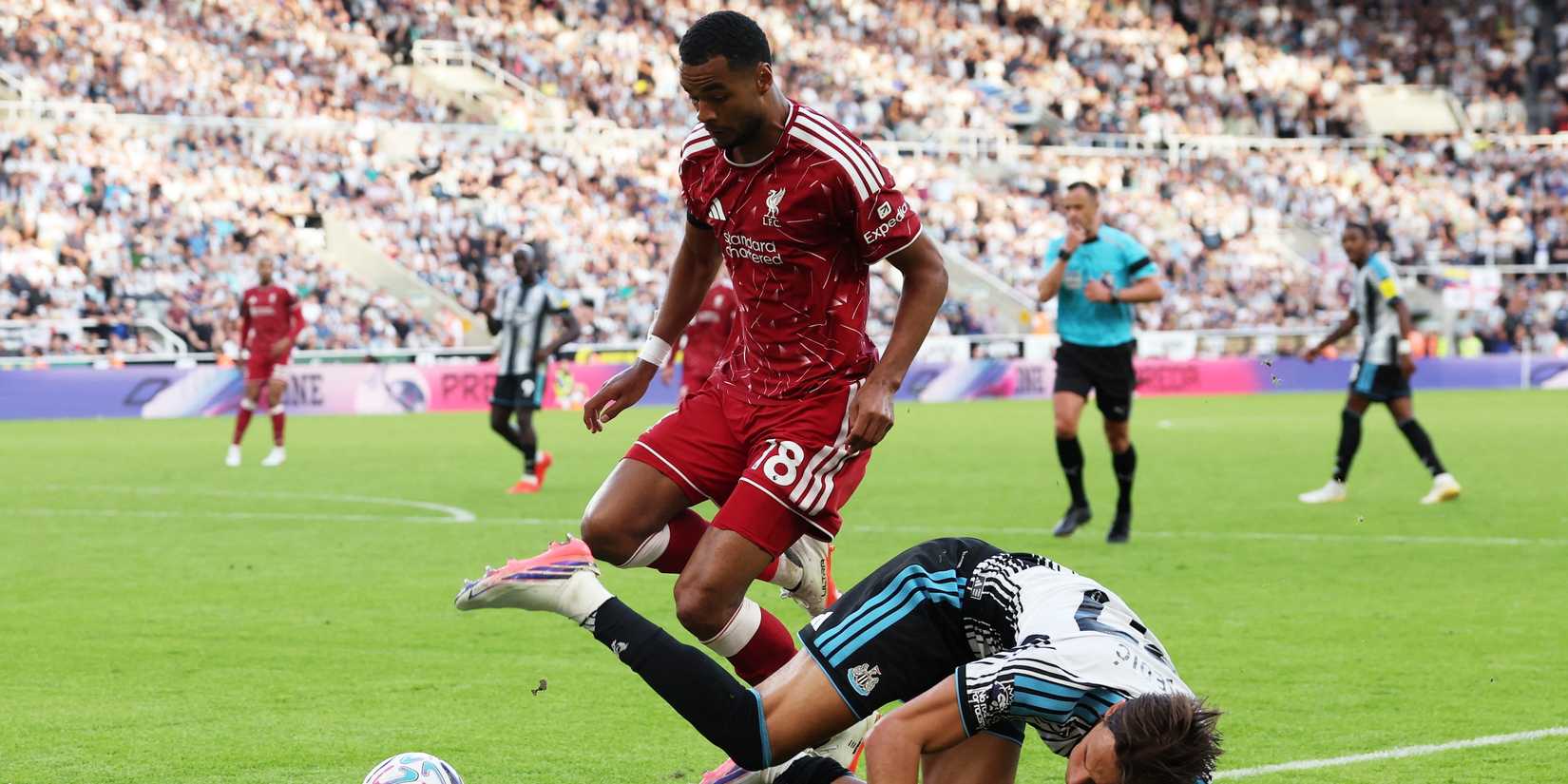 Newcastle United's Amar Dedic in action with Liverpool's Cody Gakpo