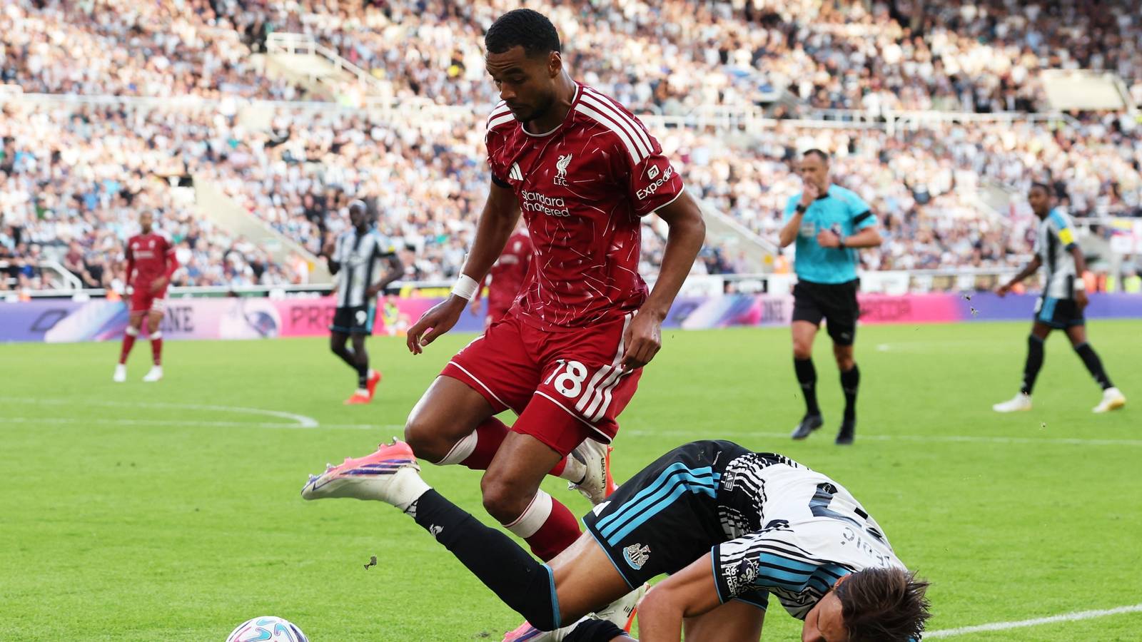 Tottenham now make approach to sign £84,000-a-week star instead of Gakpo