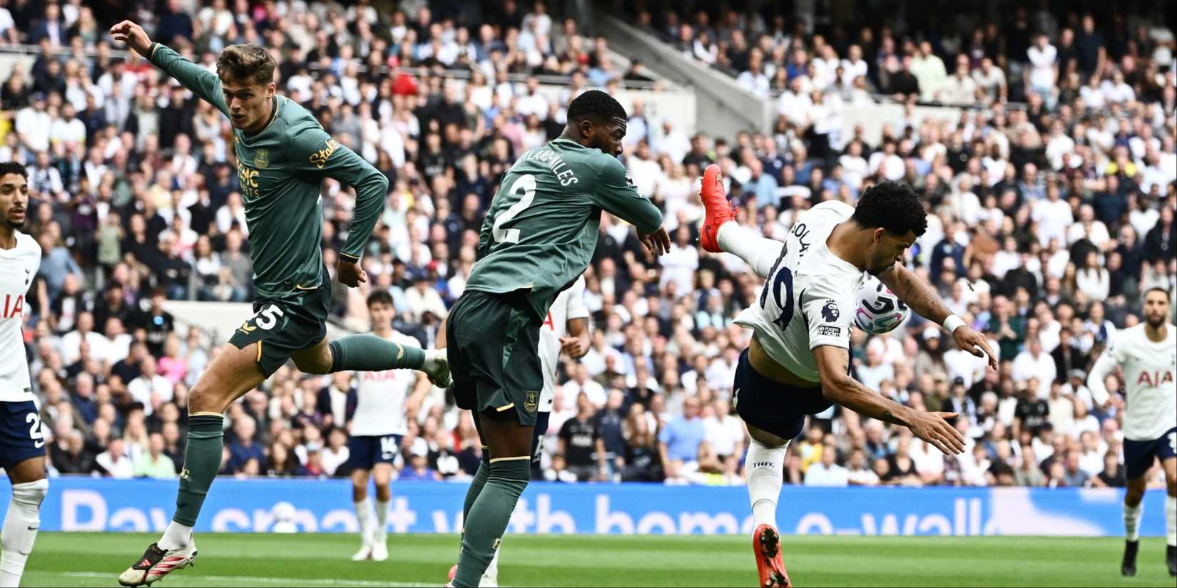 Dominic-Solanke-Spurs-Everton