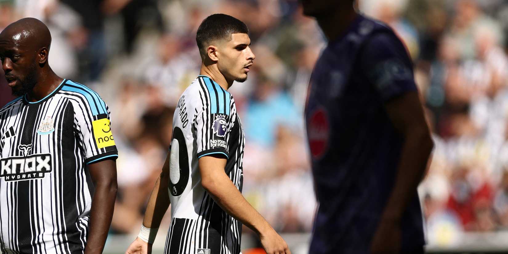 fernandez-pardo-bournemouth-newcastle
