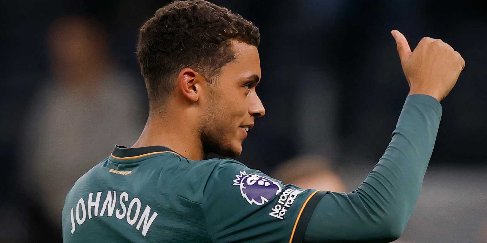 johnson-everton-spurs
