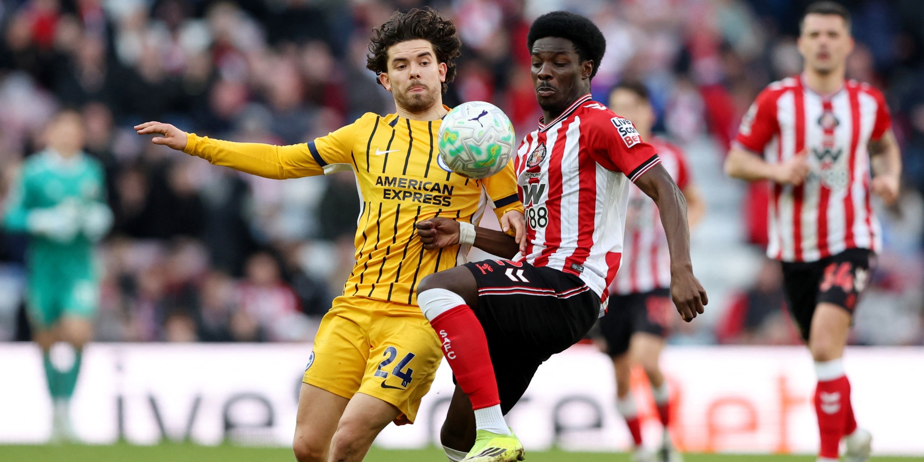 mayenda-sunderland