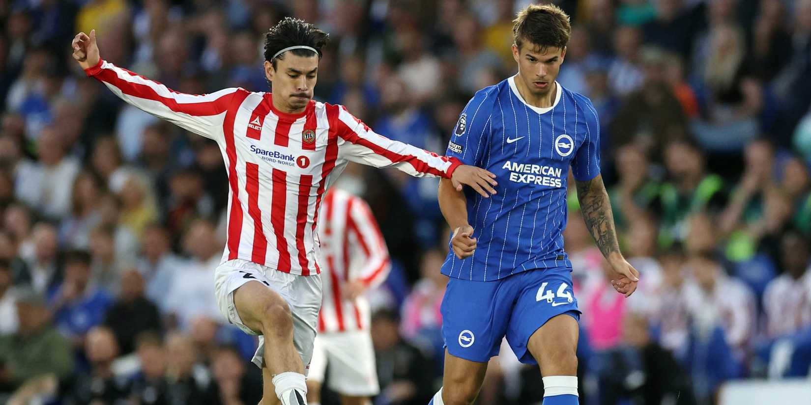 luka-vuskovic-brighton
