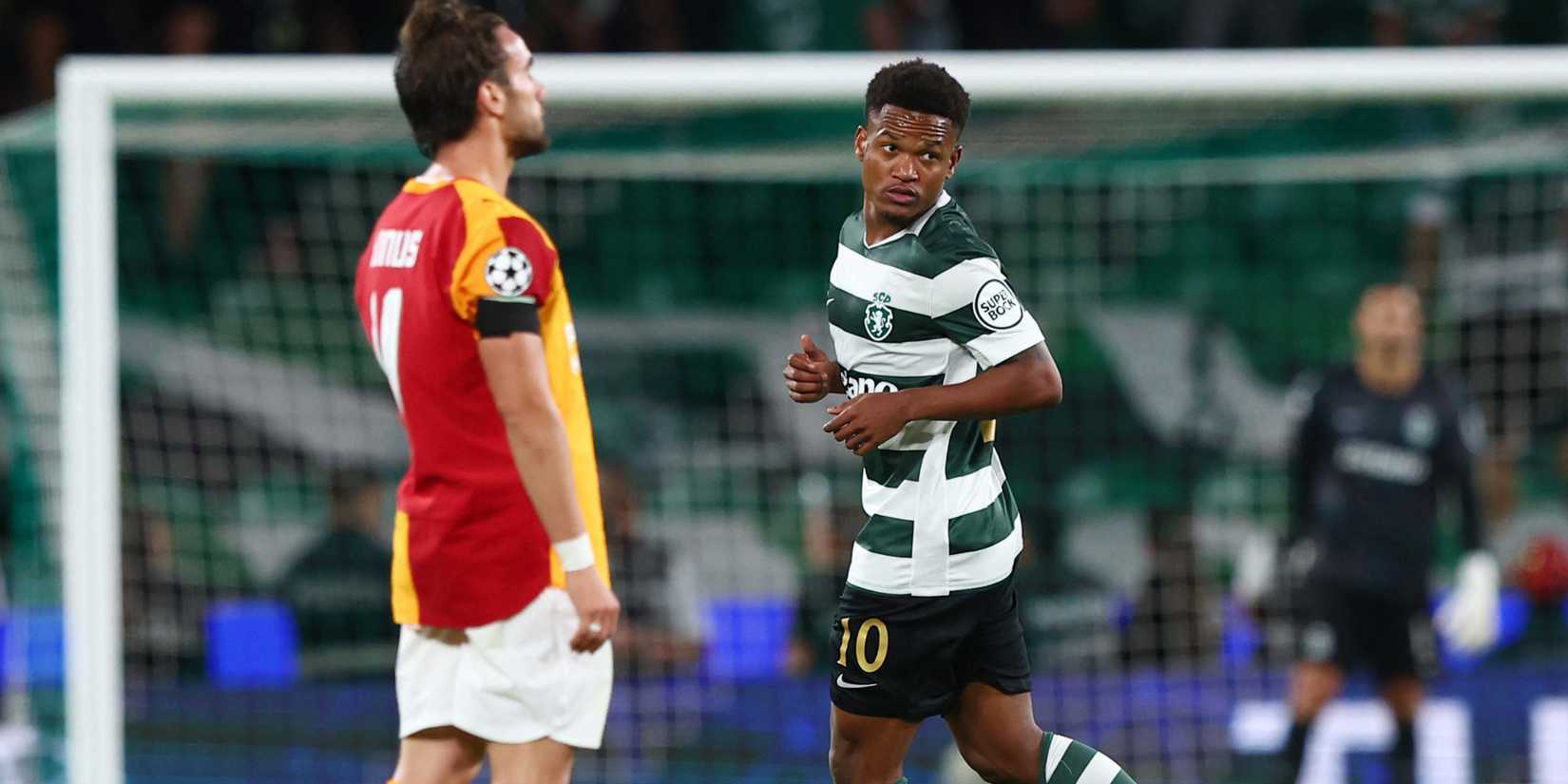 geny-catamo-sporting
