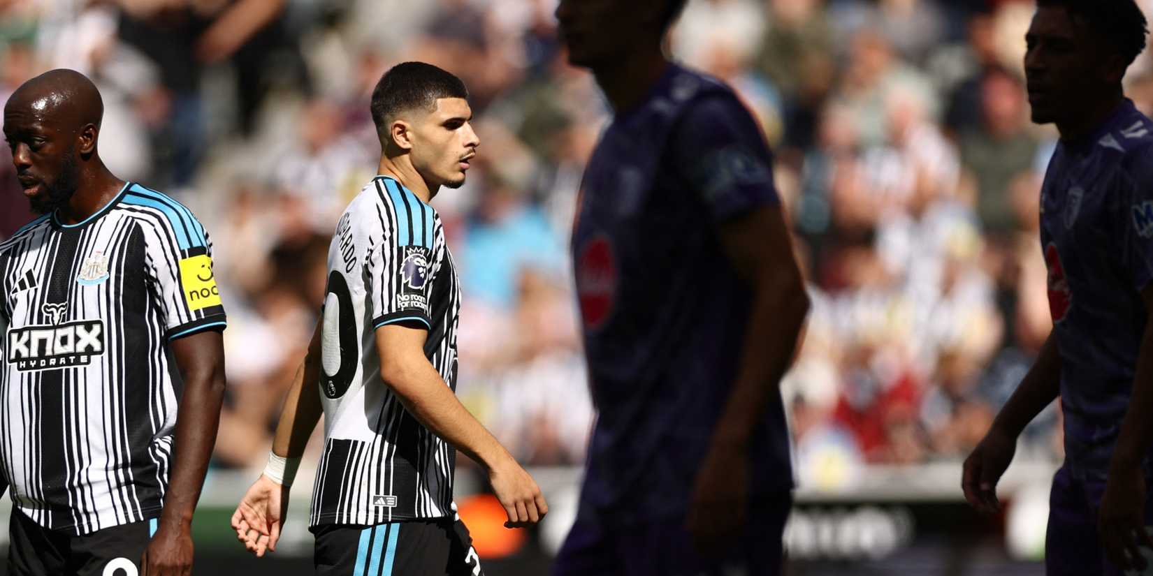 matias-fernandez-pardo-newcastle