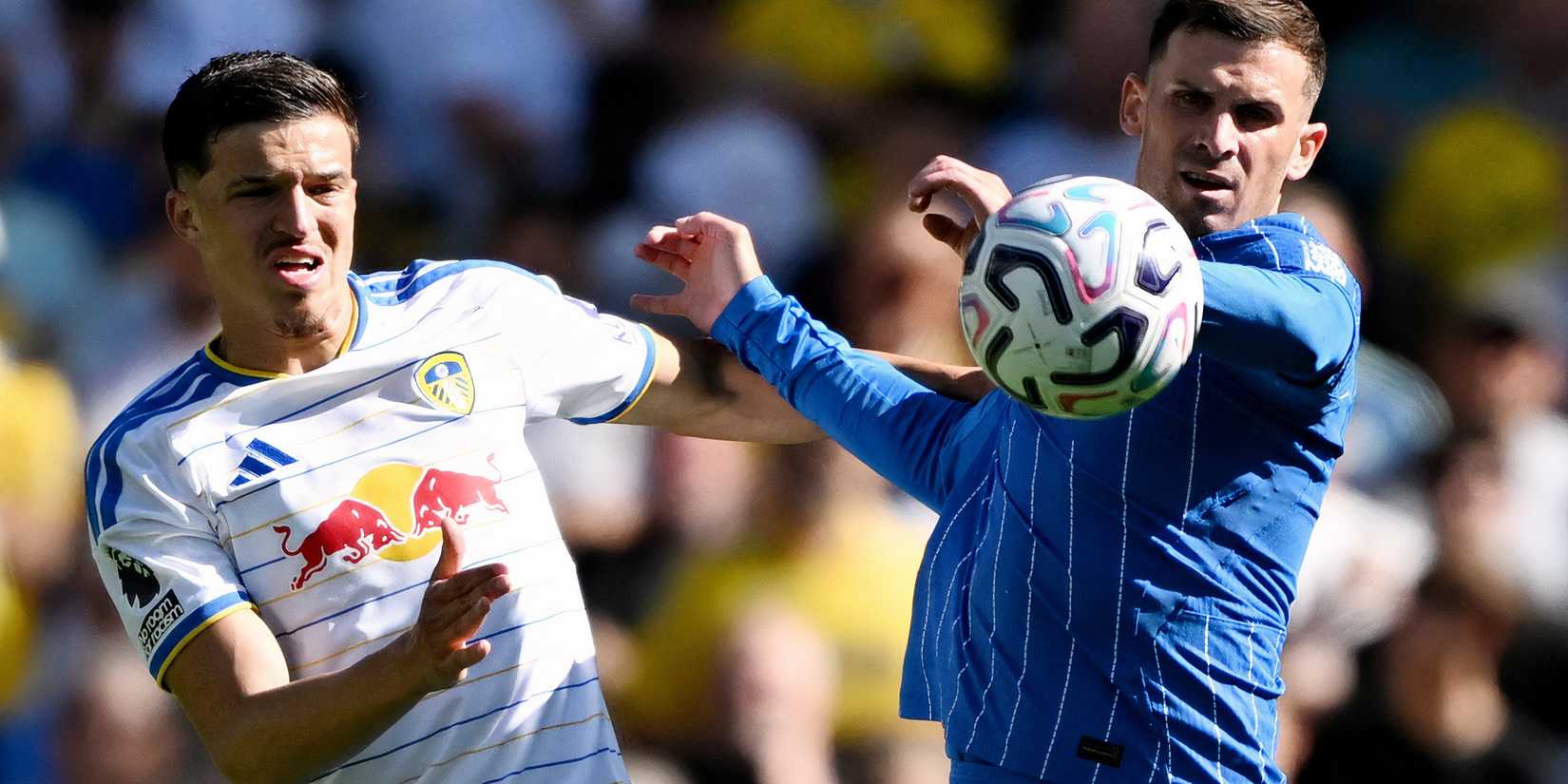tarik-muharemovic-leeds-brighton