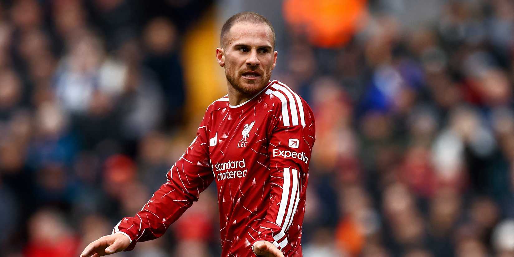 Alexis Mac Allister for Liverpool-1