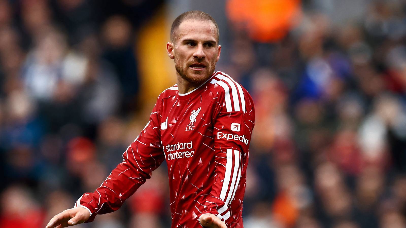 Future £100m star: Liverpool’s Mac Allister upgrade has officially arrived