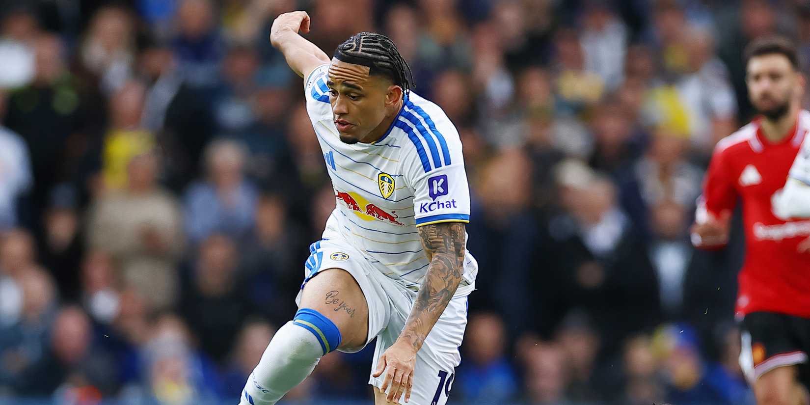 noah-okafor-leeds-man-united