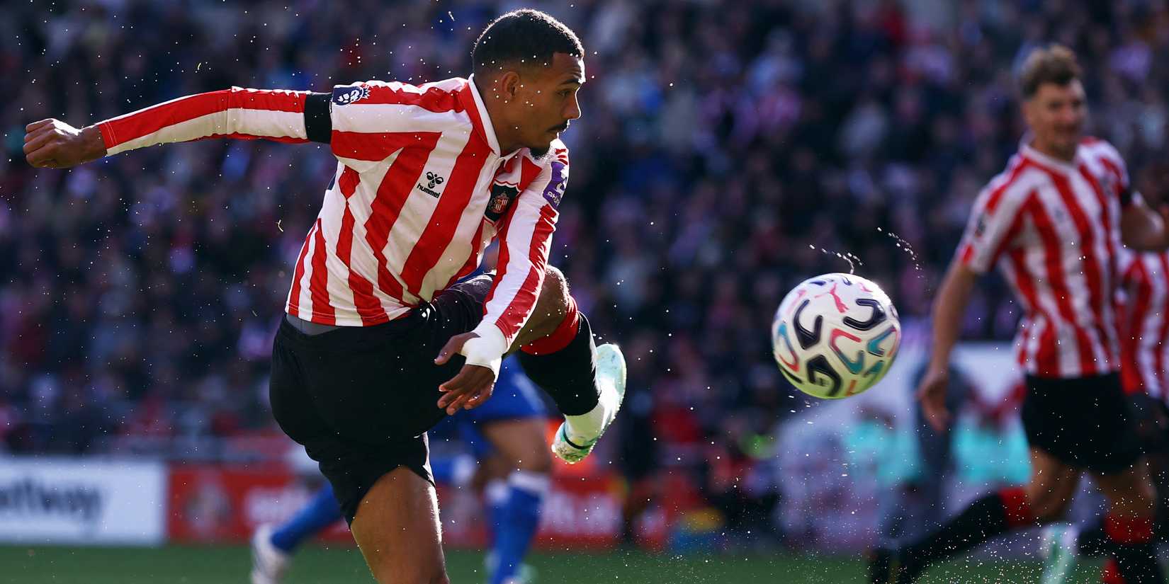 wilson-isidor-sunderland-brighton